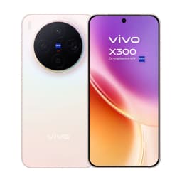 Vivo X300